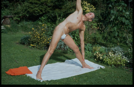 trikonasana2000.jpg